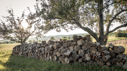 Brennholzlager © focus finder