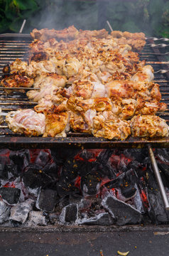 Preparation of a fresh, delicious shish kebab from a chicken on skewers.
