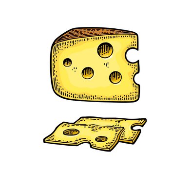 Pieces of Cheese. Color vintage engraved vector