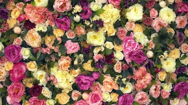 Beautiful flower field yellow green white pink purple and red lot of roses and peonies stand in