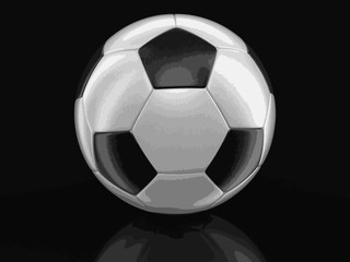 Fototapeta na wymiar Soccer football. Image with clipping path