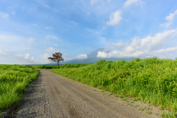 日本の草原の中の一本道