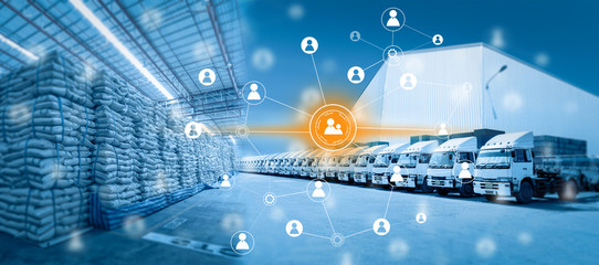Social connection and networking for distribution of goods in warehouse process , Logistic Import Export background