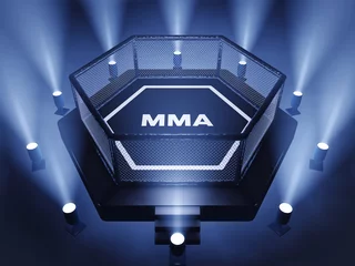 Photo sur Plexiglas Arts martiaux MMA cage lit by spotlights ,  Mixed martial arts fight night event