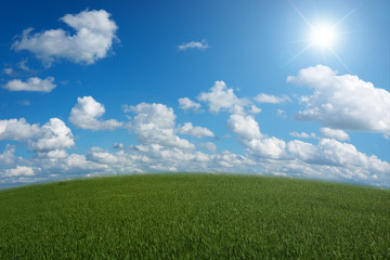 clouds on a background blue sky over the green meadow