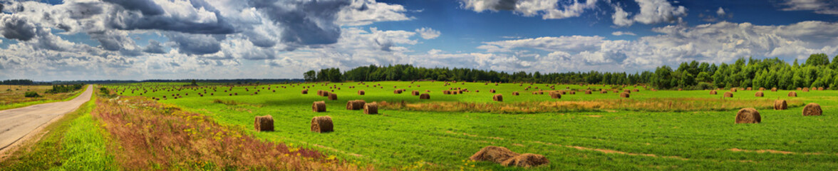 Naklejka na ściany i meble Panorama from the road, field and haystacks