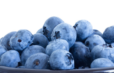 blueberries closeup