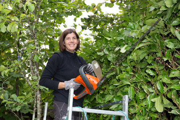 woman trimming her hedge in the garden with electric hedge trimmer - obrazy, fototapety, plakaty