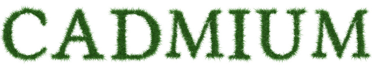 Cadmium - 3D rendering fresh Grass letters isolated on whhite background.