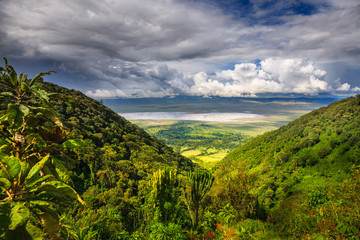 Landscape in The Ngorongoro Crater - Tanzania - obrazy, fototapety, plakaty