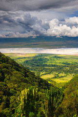 Landscape in The Ngorongoro Crater - Tanzania