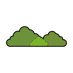 bushes icon over white background vector illustration