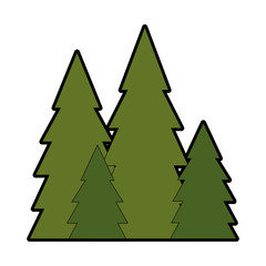 pines trees icon over white background vector illustration