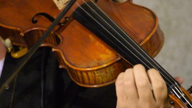 Viulu Violino Housle Violí Violine Violín Video Violon Βιολί Hegedű كمان Skrzypce Fiðla ヴァイオリン Viool Vioară Скрипка Keman वायलिन Ջութակ 小提琴 ไวโอลิน כינור
