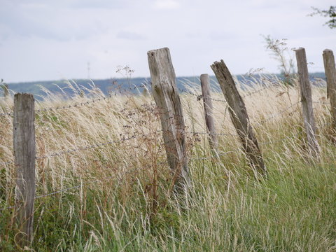 Aachen Laurensberg 1