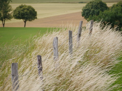 Aachen Laurensberg 6