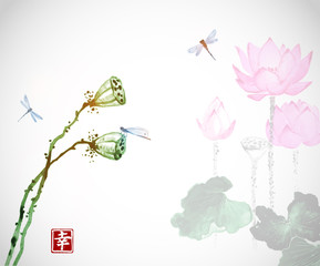 Lotus flowers and dragonflies on white background. Traditional oriental ink painting sumi-e, u-sin, go-hua. Contains hieroglyph - happiness.