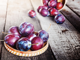 Fresh ripe plum prunes crop harvest