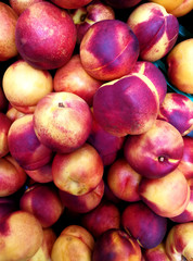 nectarines in the market