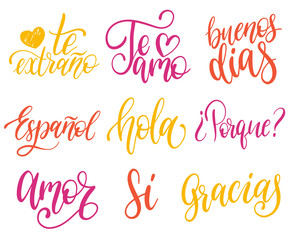 Vector calligraphic set of spanish translation of Thank You, Good Day etc. Common words hand lettering collection.
