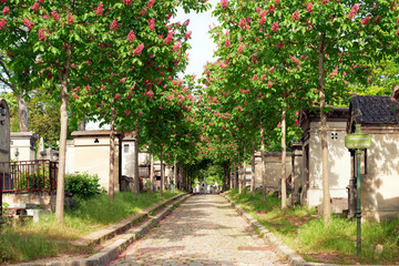 Pere Lachaise cemetery, Paris, France