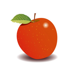 red apple on a white background. vector graphics