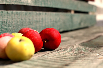 Apples on the bench
