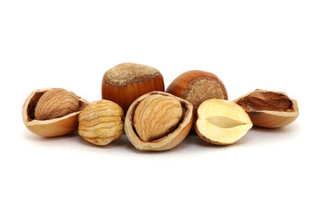 Hazelnut isolated on white
