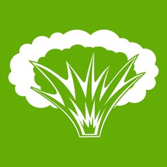 Atomical explosion icon green
