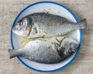 Two raw gilthead breams with olive oil, salt and pepper.