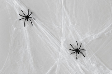 halloween decoration of black toy spiders on web