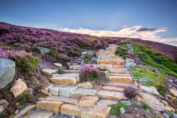 Rolgordijnen Simonside Hills path to the ridge, popular with walkers and hikers they are covered with heather in summer, and are part of Northumberland National Park, overlooking the Cheviot Hills © drhfoto