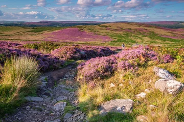 Aluminium Prints Hill Footpath to Simonside Hills, popular with walkers and hikers they are covered with heather in summer, and are part of Northumberland National Park, overlooking the Cheviot Hills