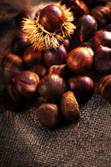 Ripe chestnuts on old wooden table and sack napkin close up with copy space. Raw Chestnuts for Christmas.