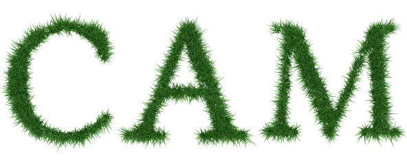 Cam - 3D rendering fresh Grass letters isolated on whhite background.