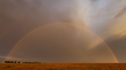 Beautiful rainbow over fields