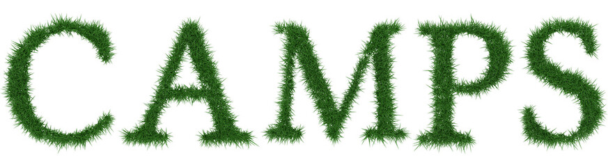 Camps - 3D rendering fresh Grass letters isolated on whhite background.