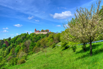Fototapeta na wymiar Blick auf die Veste Coburg in Oberfranken