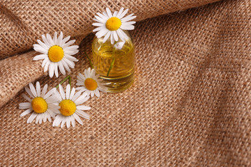 chamomile essential oil on the rustic background from the sackcloth