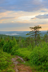 Fototapeta na wymiar Sunset in hills of Finnish Lapland