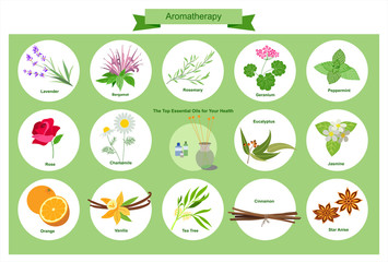 Aromatherapy - Illustration © tat