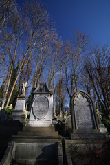 Fototapeta na wymiar cemetery