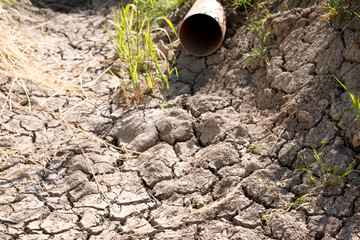 Dry Gutter without Water in the Summer