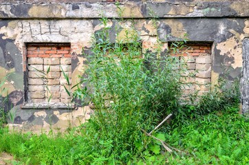 Old abandoned building. Damaged wall and green bushes.