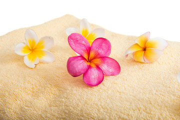towel with frangipani flower isolated