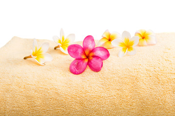 Fototapeta na wymiar towel with frangipani flower isolated