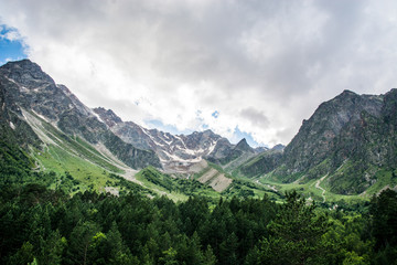 Amazing nature view of green mountain forest and tree growing on a rock, natural landscape...