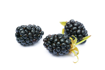 Ripe sweet blackberries isolated on a white background