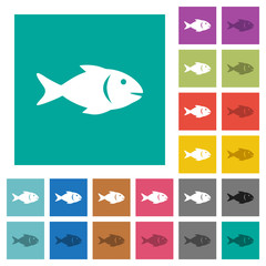 Fish square flat multi colored icons