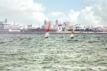 Naklejka premium sailing race in the Gulf and a town in the background